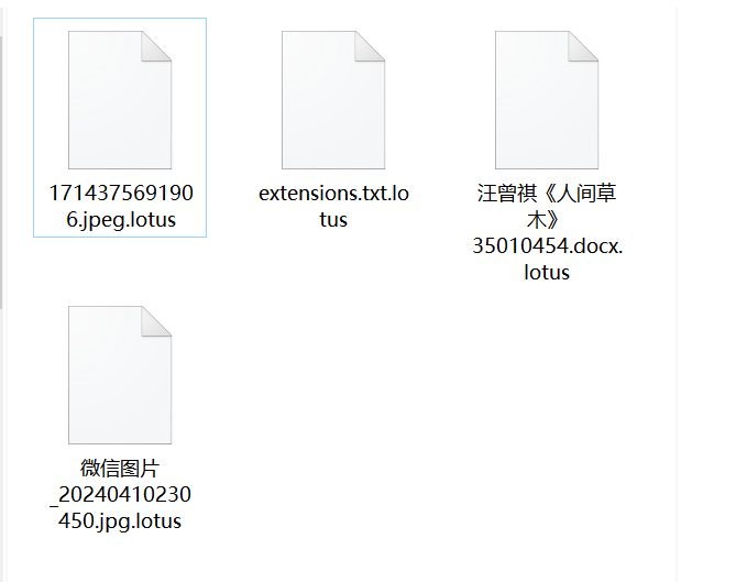 image-20240606170929005